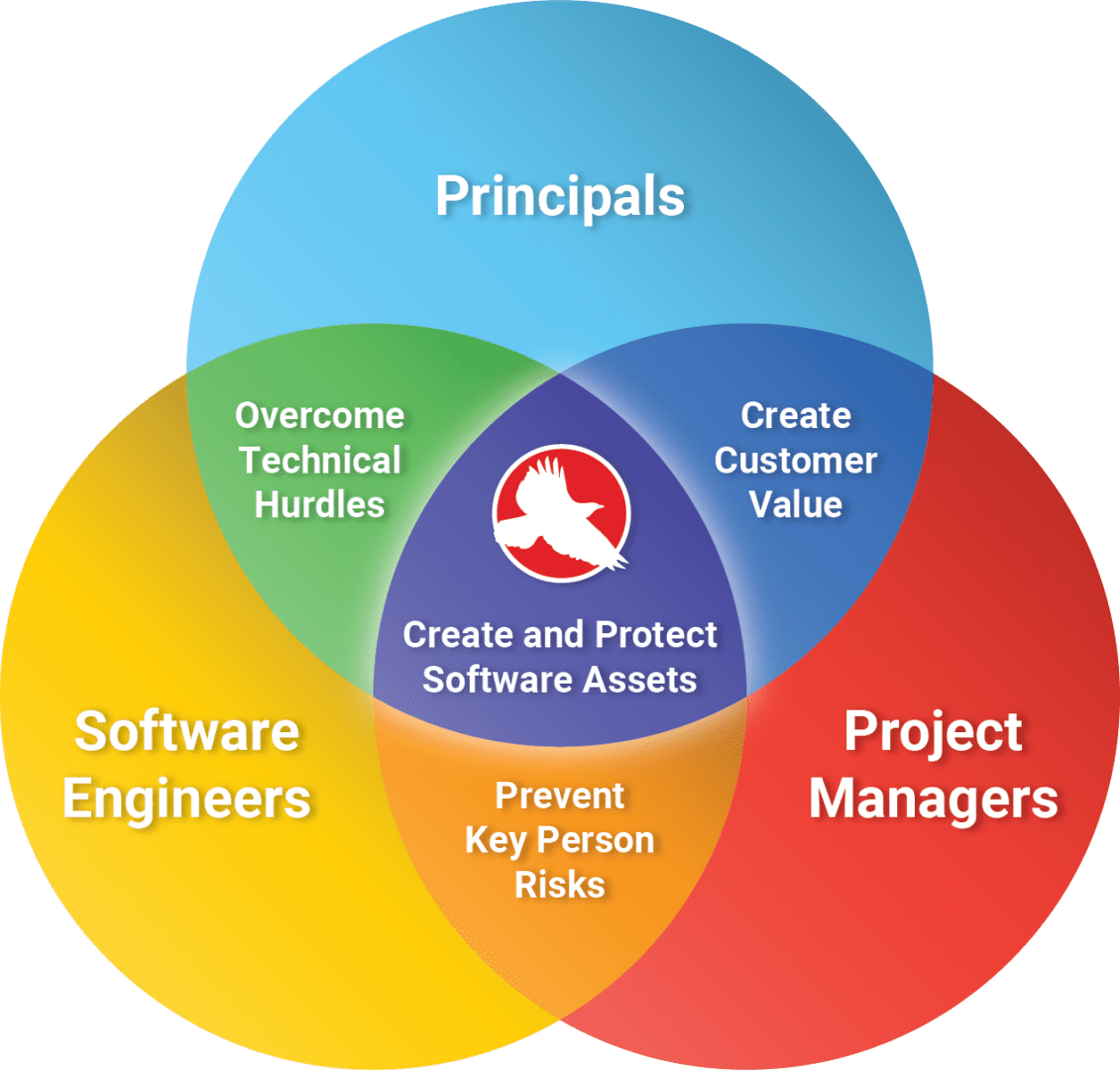 venn diagram of a fractional software engineering team