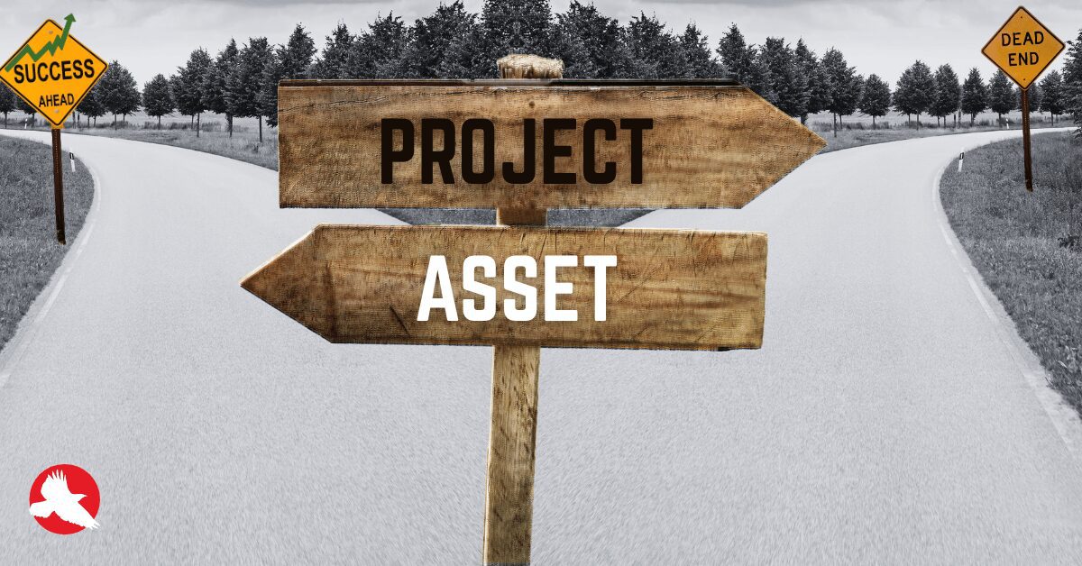 Software Project vs Asset Software Project vs Asset